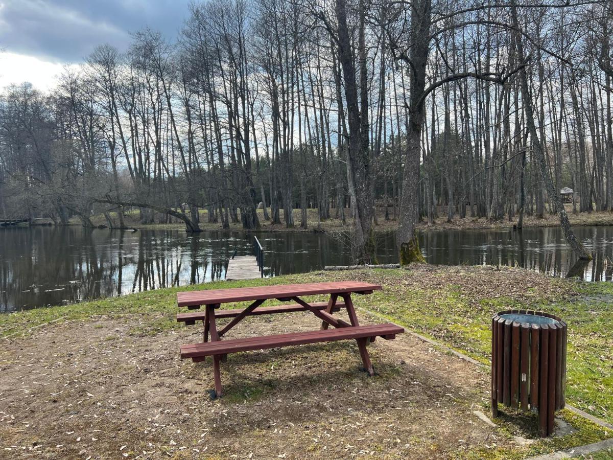 Villa Arjola Kaltanenai Bagian luar foto