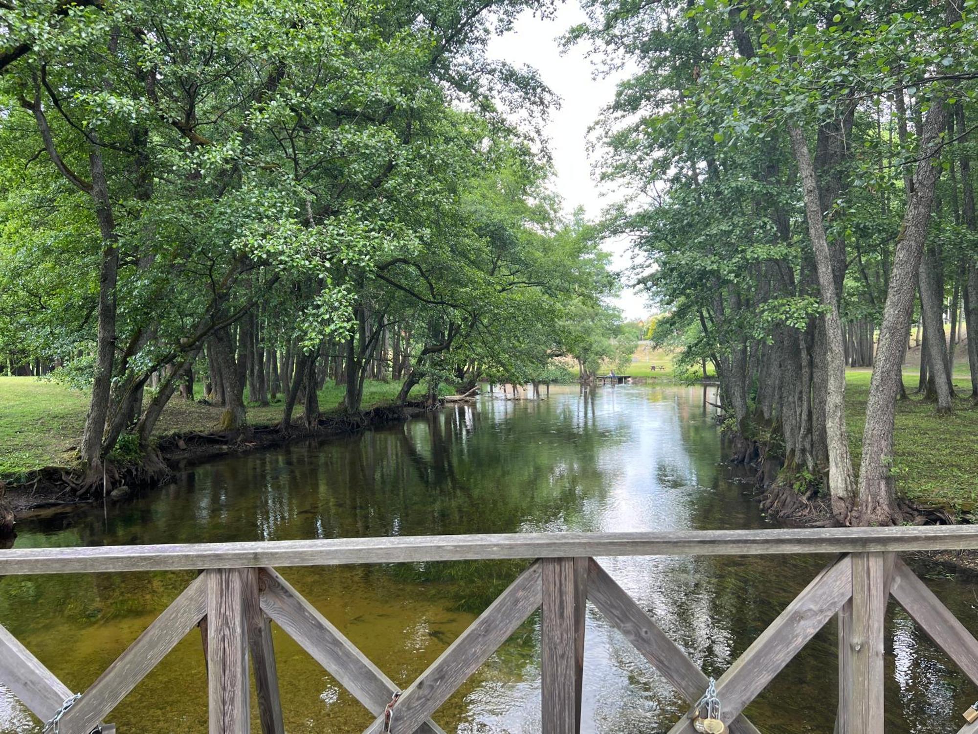 Villa Arjola Kaltanenai Bagian luar foto